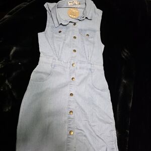 Light Blue Denim Dress with Gold Buttons